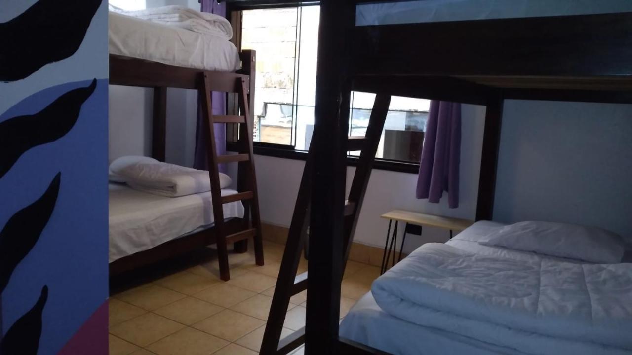 Supertramp Hostel Machupicchu المظهر الخارجي الصورة